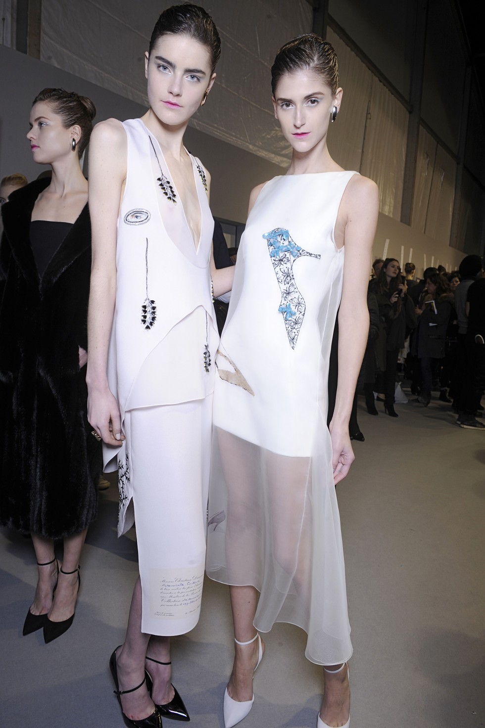 DIOR__ready to wear fall winter 2013_PARIS fashion week february_2013