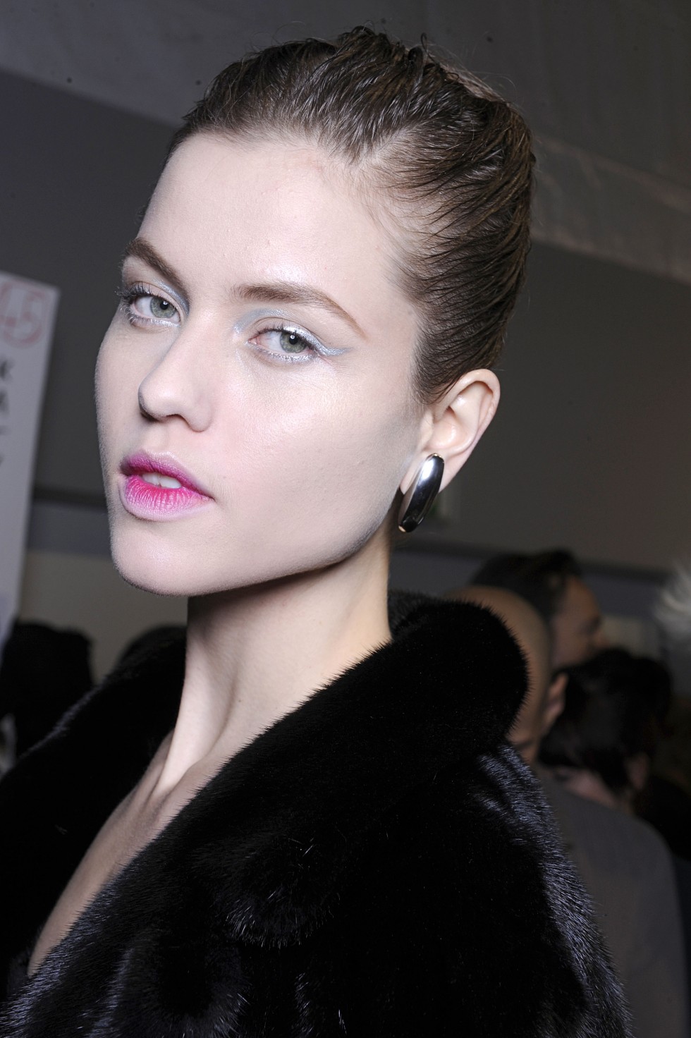 DIOR__ready to wear fall winter 2013_PARIS fashion week february_2013