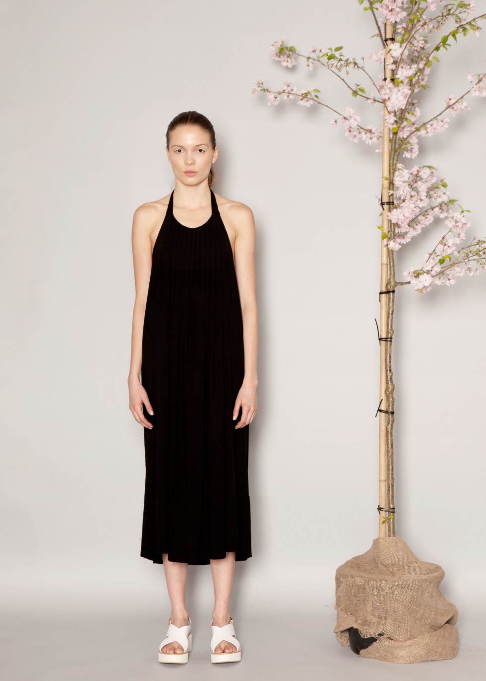 dagmar_7683_flat