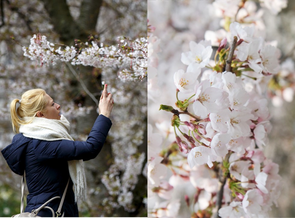 Seasonal weather, London, Britain - 05 Apr 2016