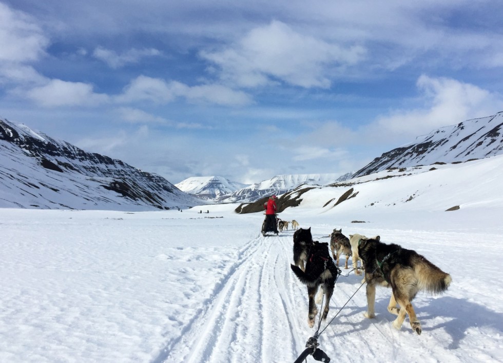 hundspann-svalbard