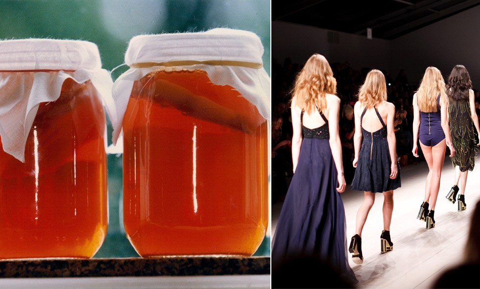 kombucha_980