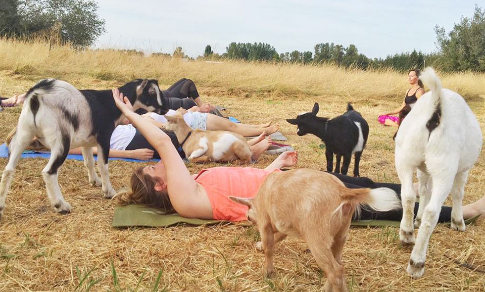 yoga getter