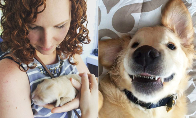  Hunden Wesley är stans coolaste tonåring – med tandställning! 