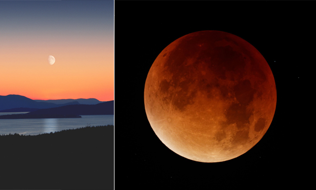 Århundrades månförmörkelse på ingång – så lyckas du se blodmånen
