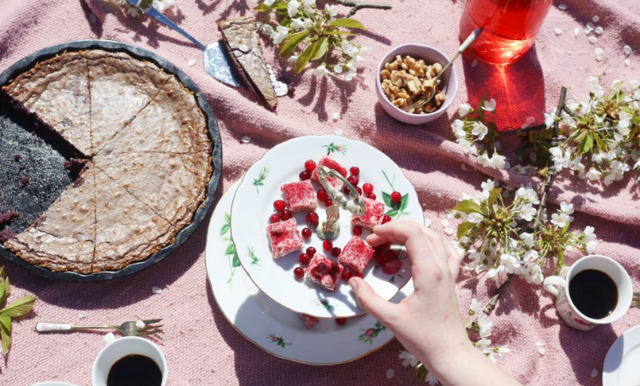 Årets första picknick består av somrig blåbärskladdkaka och lingonfudge 