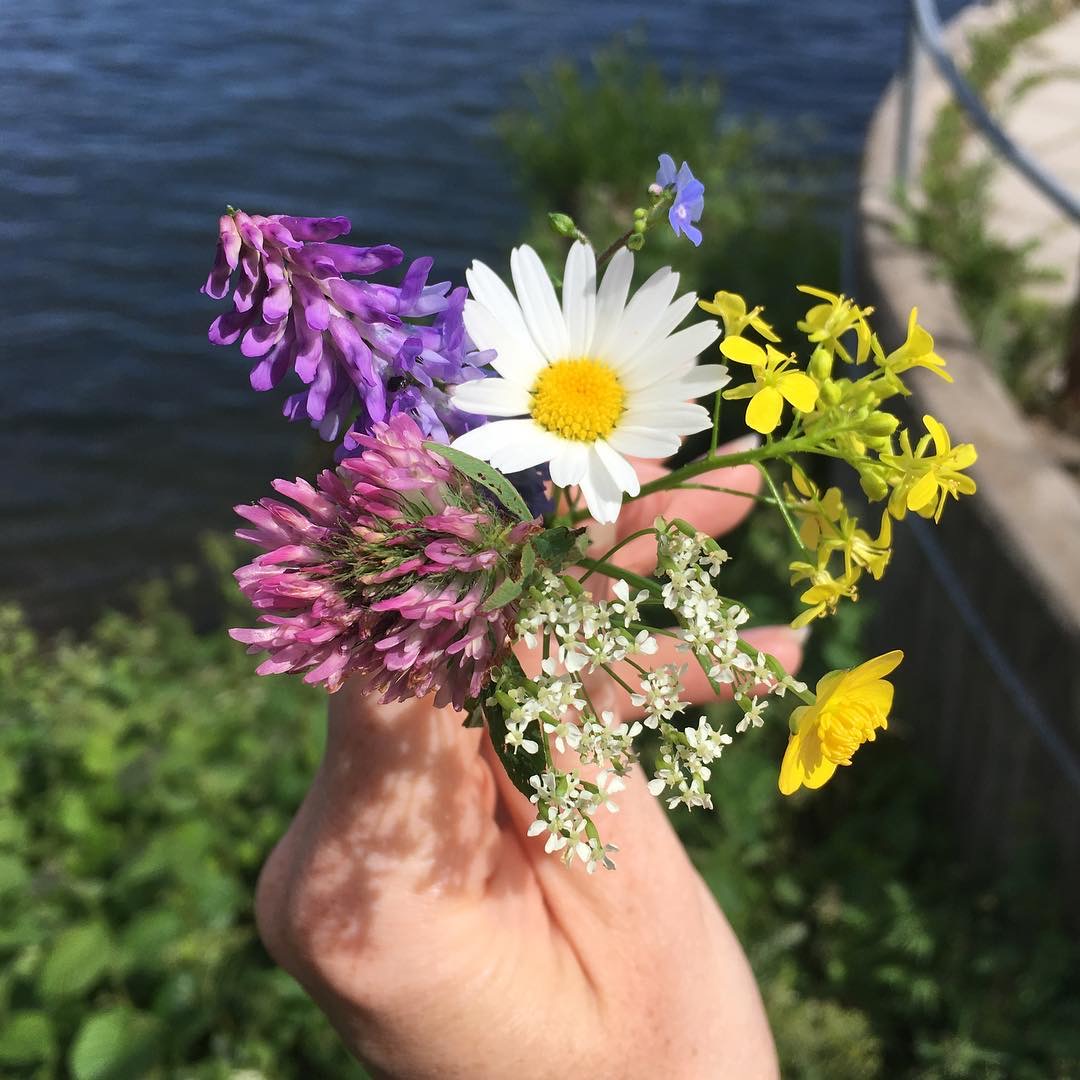 Sju sorters blommor under kudden - detta ska du tänka på! - Metro Mode