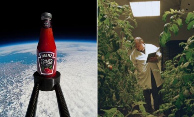 Heinz presenterar Marz Edition – en ketchup tillverkad med tomater som odlats under utomjordiska förhållanden