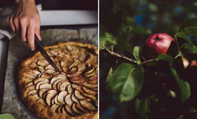 Äppelgalette – så lagar du en enkel höstkaka