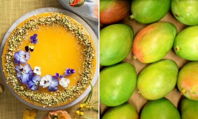 Cheesecake med mango och pistagenötter