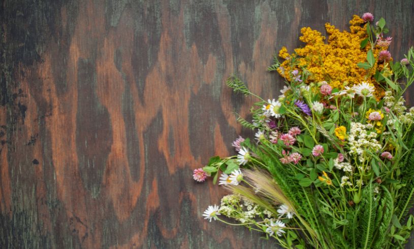 Sju blommor att lägga under kudden i midsommar – enligt dejtingexperten