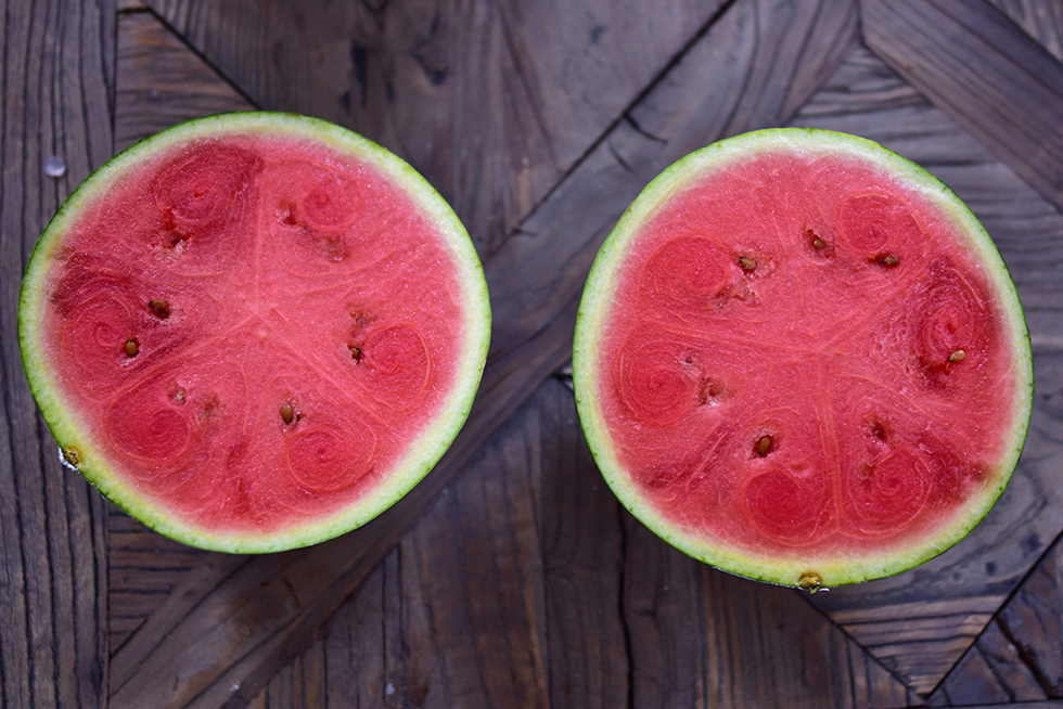 vattenmelon nyttig ida warg