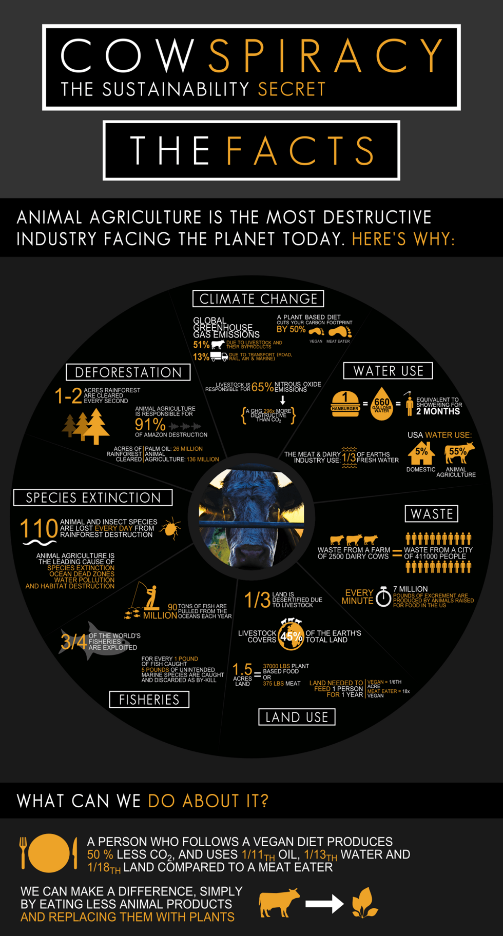 Luke-Jones.-Cowspiracy-Infographic-Imperial-Updated