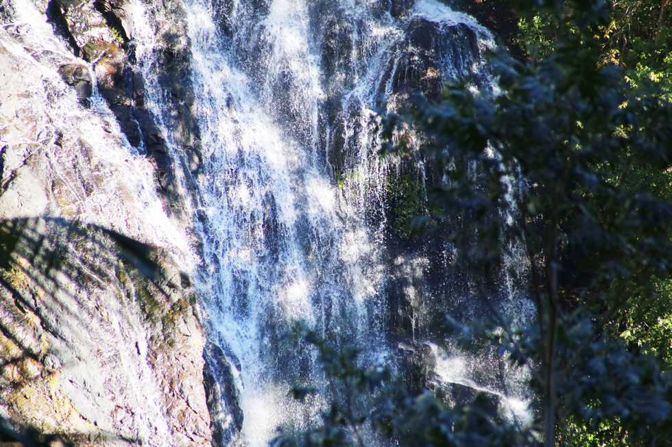 kondalilla falls