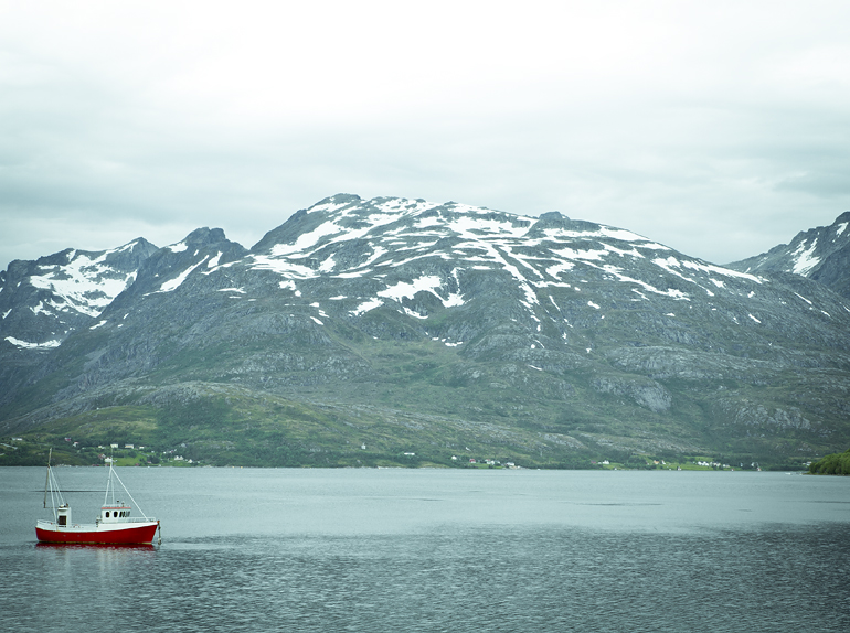 Tromsø 100 Sommarøy