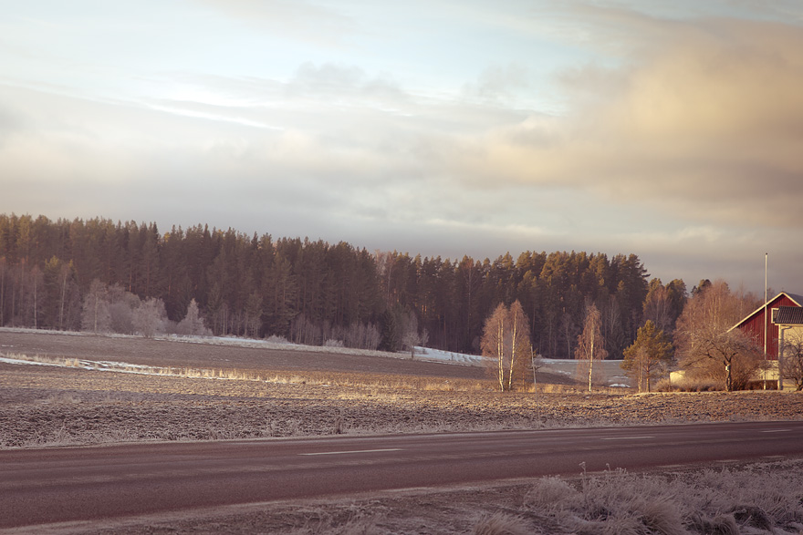 Hälsingland