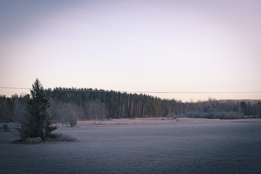 Hälsingland