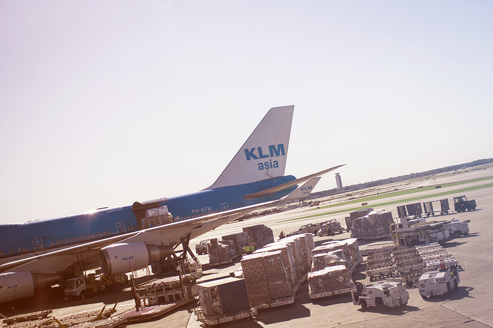 KLM flygplan IMG_7153