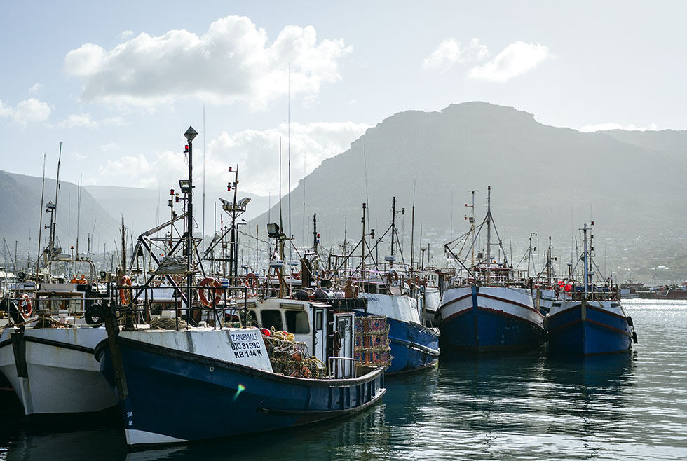 Cape town Hout bay fishing