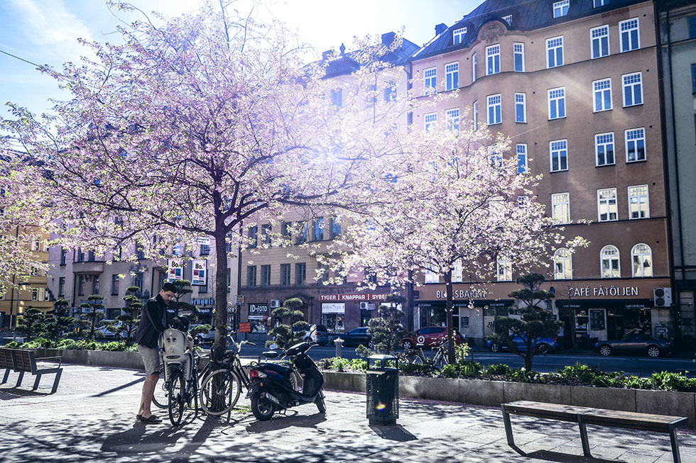 Stockholm IMG_6366