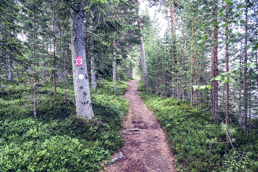 Frösö park trail run
