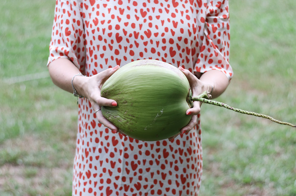 coconut-heart-tangerine-dress-stine-goya